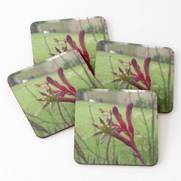 Item preview, Kangaroo paw designed and sold by greentiger1.
