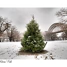 Astoria Park by ponycargirl