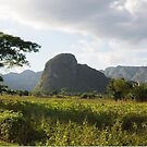 Mogote in Valle de Viñales, Cuba by ponycargirl