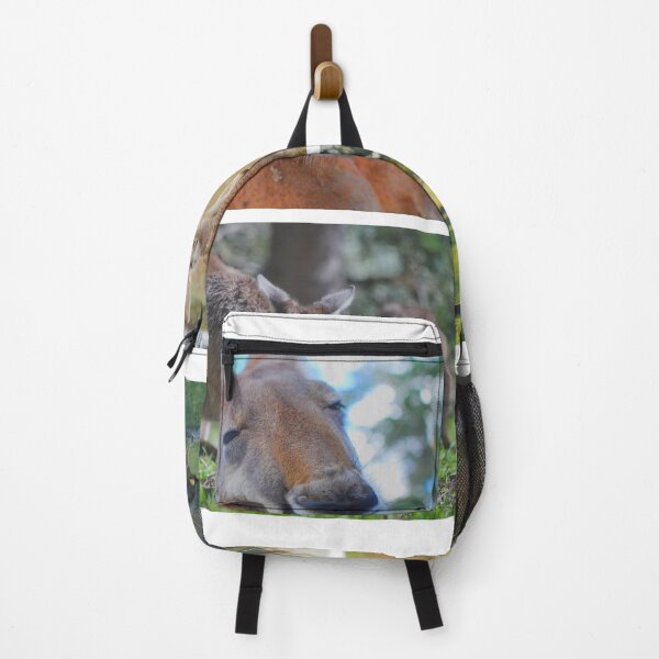 Item preview, Marsupials Australia- awareness month designed and sold by MegDeRoyale.