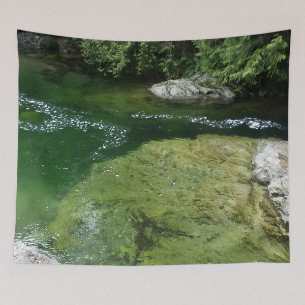 Item preview, River Rock Pool designed and sold by PLANTONE.