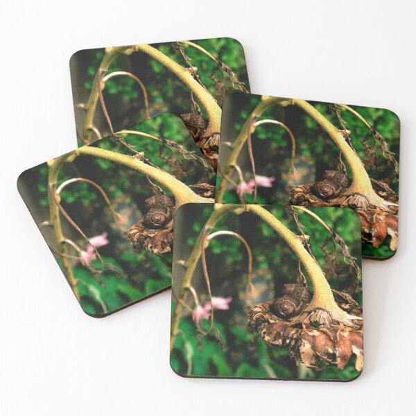 Item preview, sunflower sleepers designed and sold by Juilee  Pryor.
