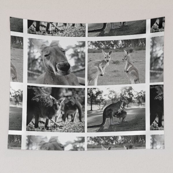 Item preview,  Marsupials Australia- awareness month designed and sold by MegDeRoyale.