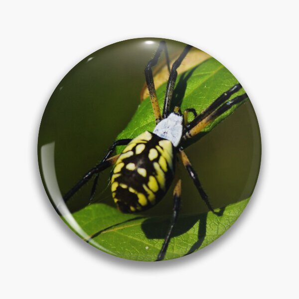 Item preview, yellow garden spider designed and sold by Kitkatfoxx.