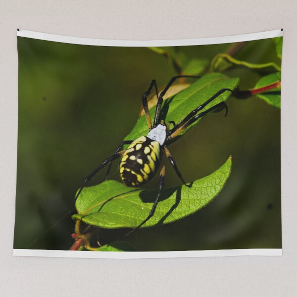 Item preview, yellow garden spider designed and sold by Kitkatfoxx.