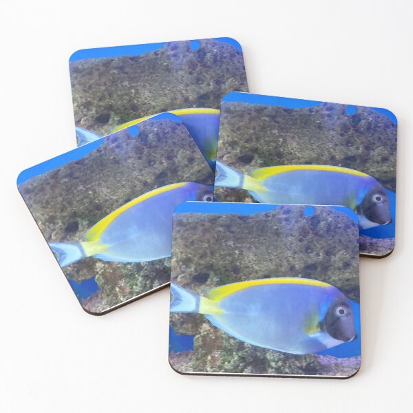 Item preview, Powder Blue Tang Fish designed and sold by Taranodongirl7.