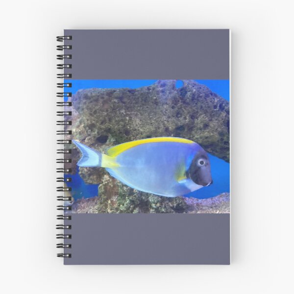 Item preview, Powder Blue Tang Fish designed and sold by Taranodongirl7.