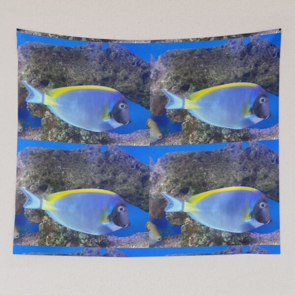 Item preview, Powder Blue Tang Fish designed and sold by Taranodongirl7.