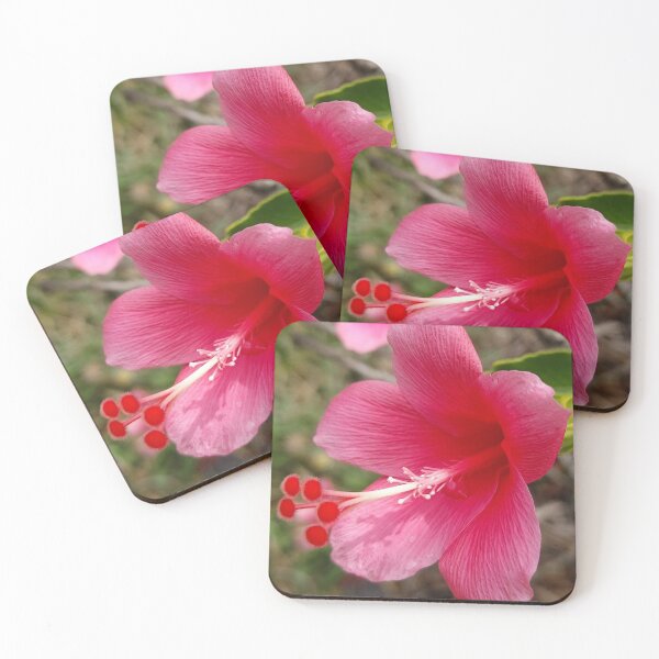 Item preview, Pink Hibiscus Flower designed and sold by MickAndoDesigns.