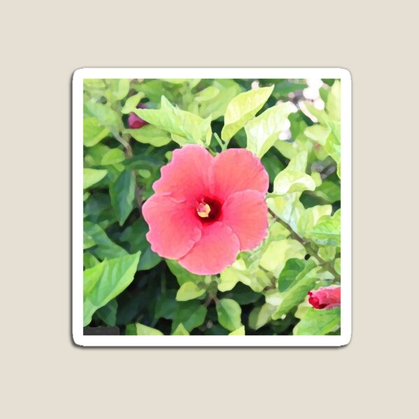 Painting of Pink Flower Magnet
