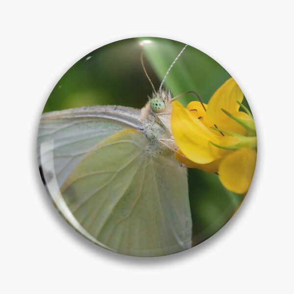 Item preview, Spotted Eyes- Cabbage White Butterfly designed and sold by dlamb.