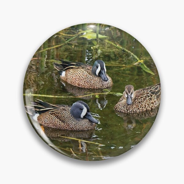 Item preview, The Beauty of Nature  designed and sold by Lanis Rossi.