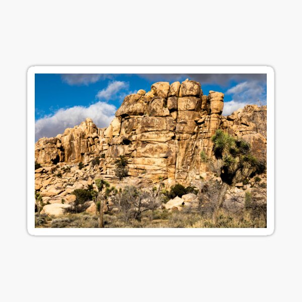 Item preview, Joshua Tree series 7434 designed and sold by PicsULove.