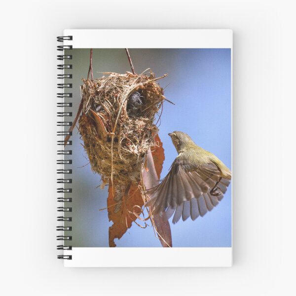 Item preview, Weebill at nest designed and sold by DaveBassett.