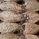 Tobacco Leaves by ponycargirl