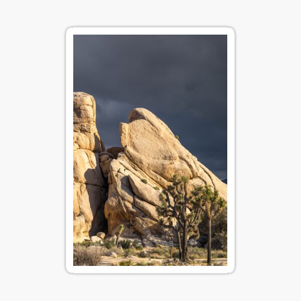 Item preview, Joshua Tree series 7435 designed and sold by PicsULove.