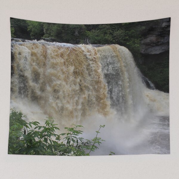 Item preview, Blackwater Falls designed and sold by CoacheCustoms.