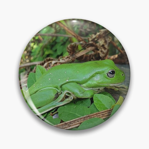 Item preview, Rainforest Frog designed and sold by ongarra.