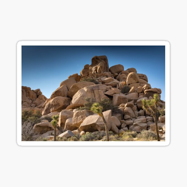 Item preview, Joshua Tree series 7436 designed and sold by PicsULove.