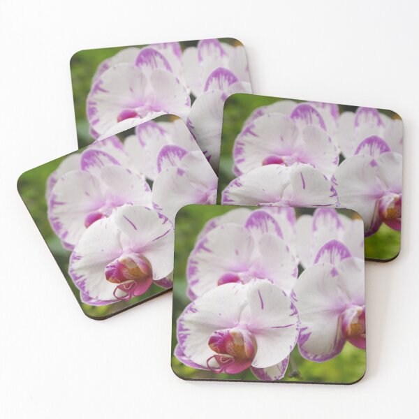 Item preview, Delicate Orchids designed and sold by Andrea Bryer.
