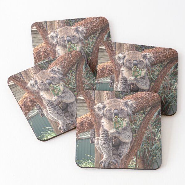 Item preview, Koala Posing and Enjoying a Snack designed and sold by Steven Jodoin.