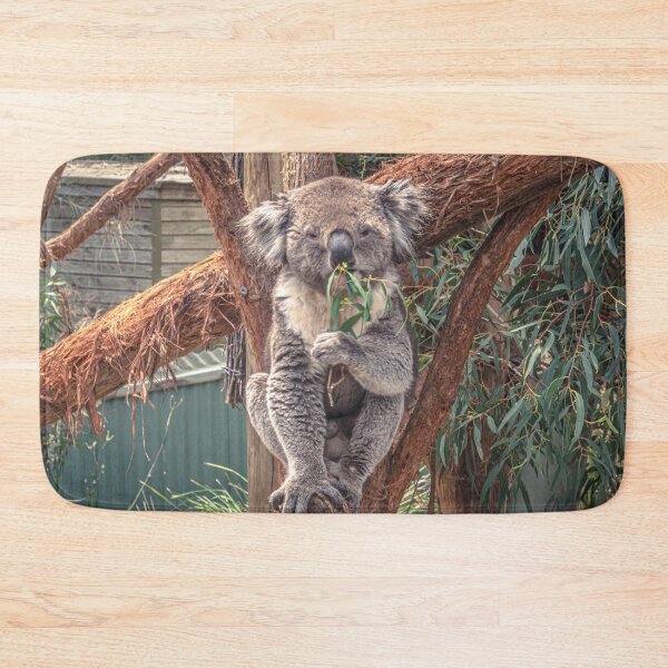 Item preview, Koala Posing and Enjoying a Snack designed and sold by Steven Jodoin.