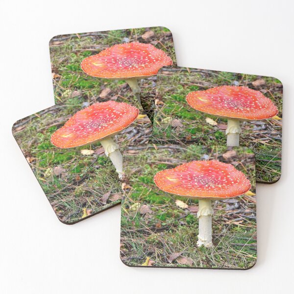 Item preview, Adding colour to the October forest designed and sold by jchanders.