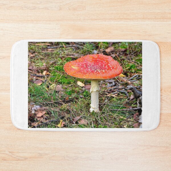Item preview, Adding colour to the October forest designed and sold by jchanders.