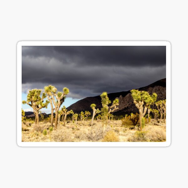 Item preview, Joshua Tree series 7442 designed and sold by PicsULove.