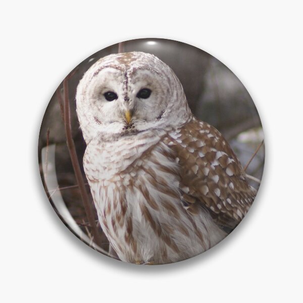 Item preview, The Wise Owl designed and sold by Andrea Bryer.