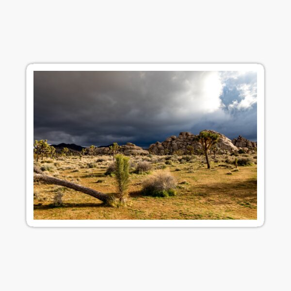 Item preview, Joshua Tree series 7444 designed and sold by PicsULove.
