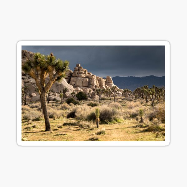 Item preview, Joshua Tree series 7448 designed and sold by PicsULove.