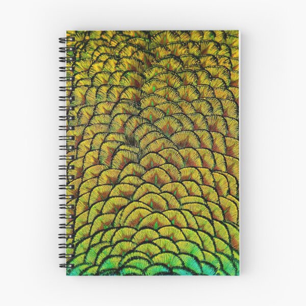 Item preview, Colorful Peacock Feather Pattern designed and sold by KathyGail.