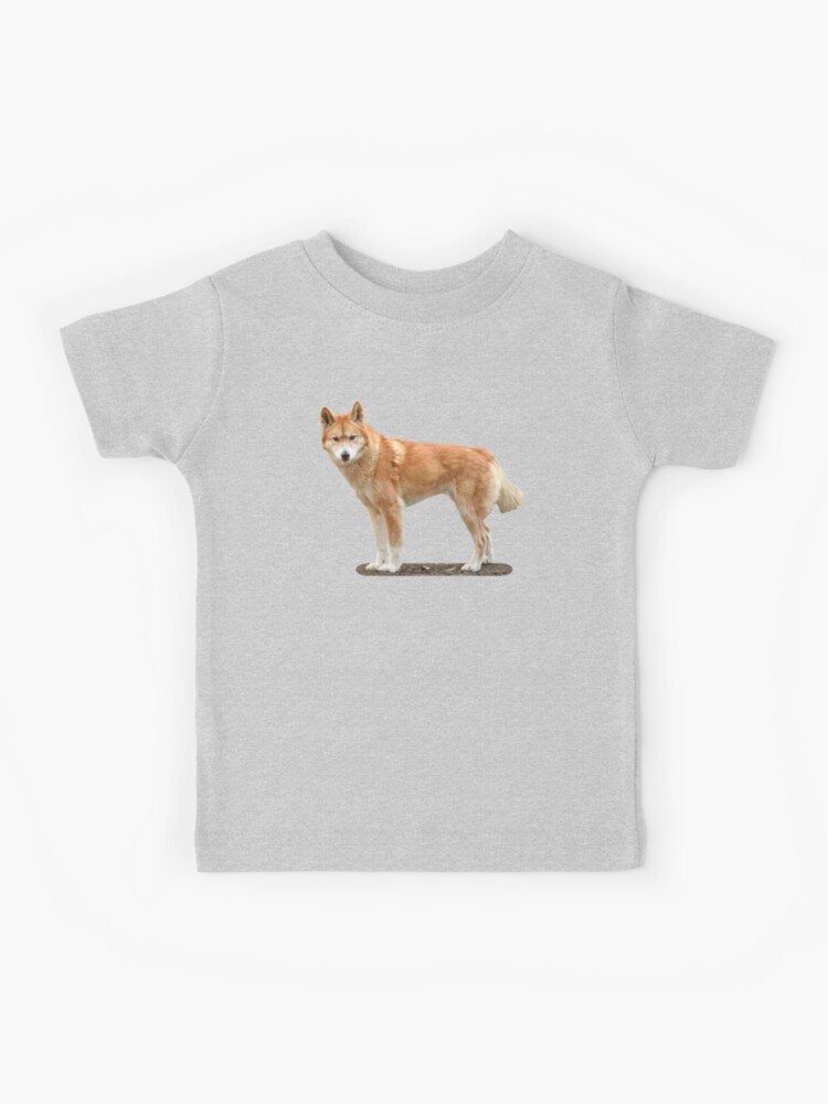 Red Dingo Designer Dog Harness, Small, Bonorama Orange