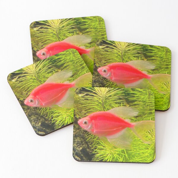 Item preview, Bright Red Goldfish designed and sold by Taranodongirl7.