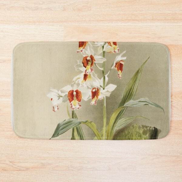 Item preview, Reichenbachia: Orchids Illustrated and Described designed and sold by EsotericBotanic.