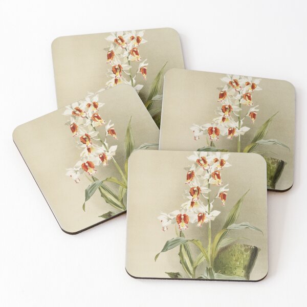 Item preview, Reichenbachia: Orchids Illustrated and Described designed and sold by EsotericBotanic.