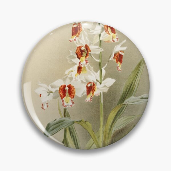 Item preview, Reichenbachia: Orchids Illustrated and Described designed and sold by EsotericBotanic.