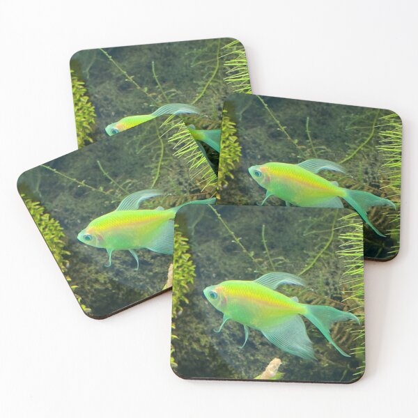 Item preview, Neon Goldfish designed and sold by Taranodongirl7.