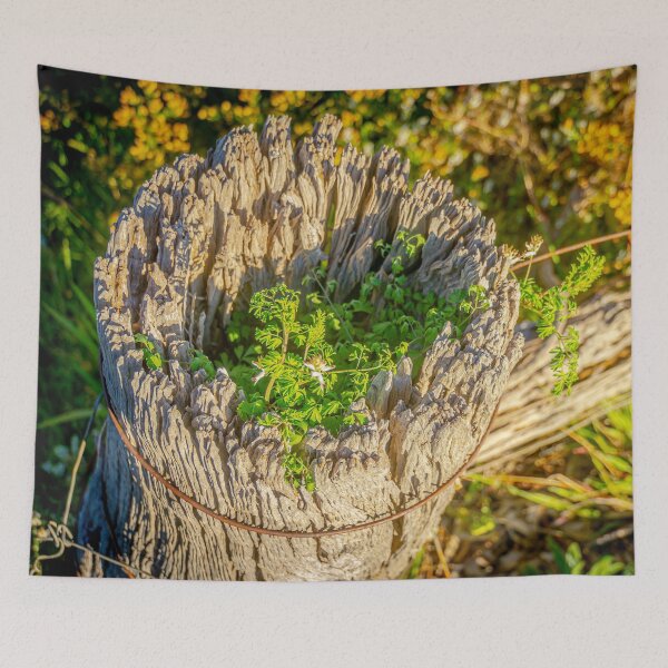 Item preview, The 1875 Weathered Fence Post designed and sold by Steven Jodoin.