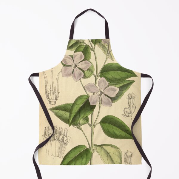 Item preview, Vinca difformis 139 8506 designed and sold by EsotericBotanic.