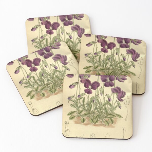 Item preview, Viola gracilis 140 8541 designed and sold by EsotericBotanic.