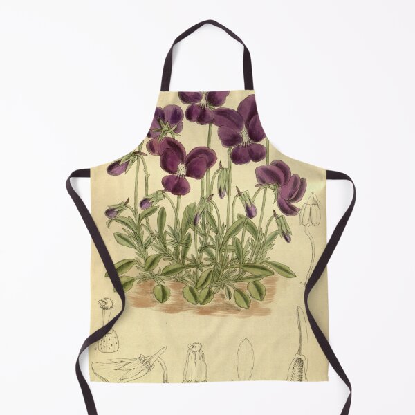 Item preview, Viola gracilis 140 8541 designed and sold by EsotericBotanic.