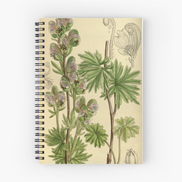 Item preview, Aconitum rotundifolium 140 8575 designed and sold by EsotericBotanic.