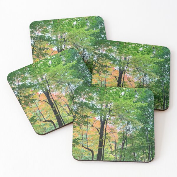 Item preview, Lush green woods with an accent of autumn designed and sold by MiaoMiaoYu.