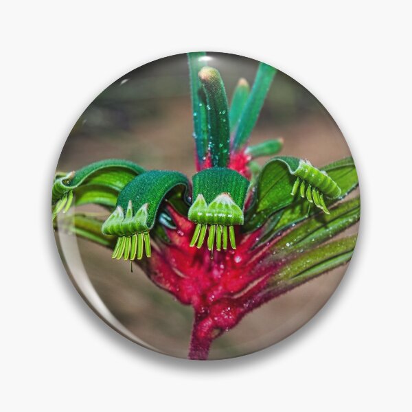Item preview, Kangaroo Paw designed and sold by photograham.
