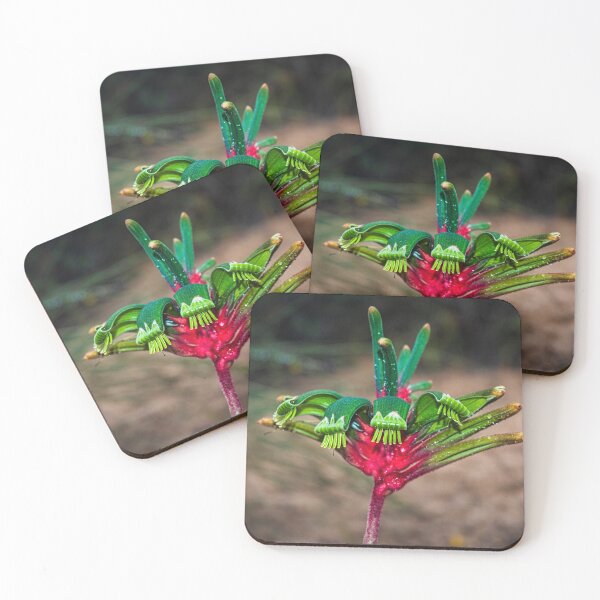 Item preview, Kangaroo Paw designed and sold by photograham.