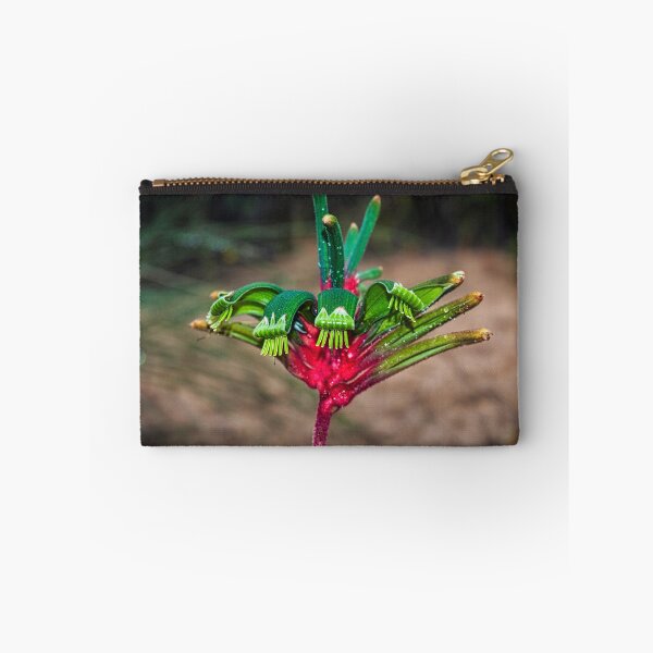 Item preview, Kangaroo Paw designed and sold by photograham.