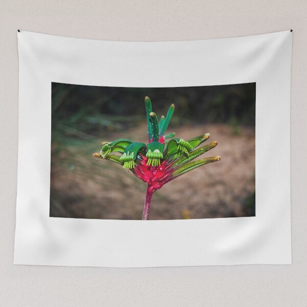 Item preview, Kangaroo Paw designed and sold by photograham.