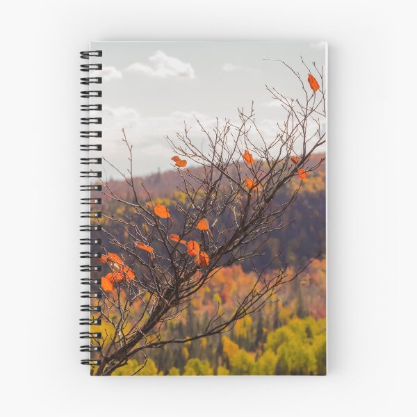 Item preview, Fall leaves designed and sold by ZoeyPhotography.